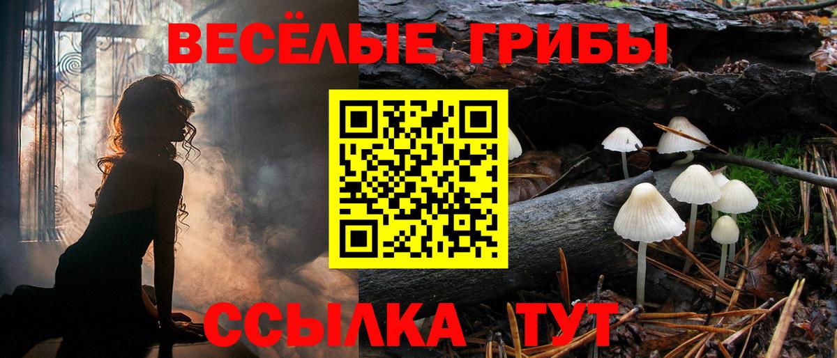 Псилоцибиновые грибы Psilocybe Комсомольск-на-Амуре