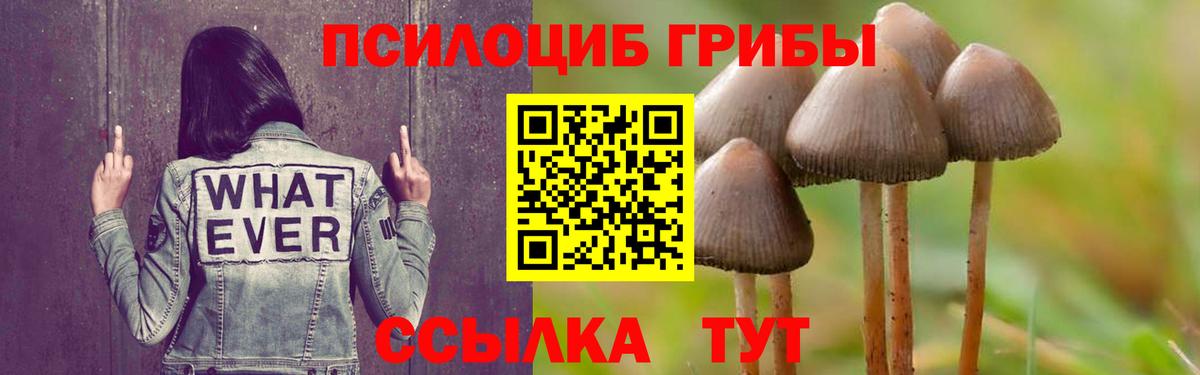 Комсомольск-на-Амуре  Псилоцибиновые грибы Psilocybe  купить наркотики сайты  Псилоцибиновые грибы Psilocybine cubensis  Вход с VPN 